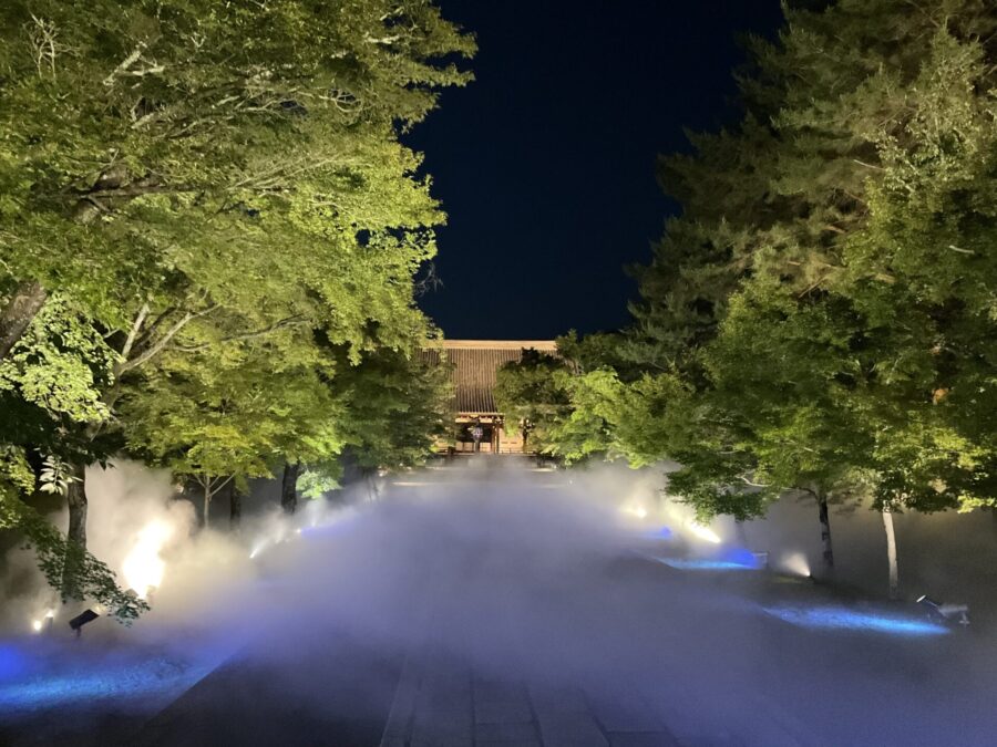 仁和寺　青もみじ雲海ライトアップ